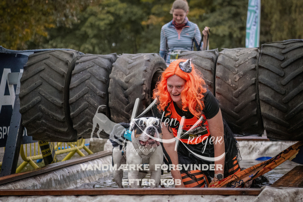 1700_ZZ94642 | kk-dogfotos