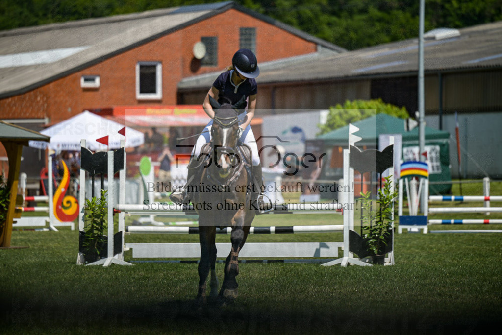 Reitturnier Voxtrup | Entdecke hochwertige Reitturnierfotos von Foto Oger. Professionell, emotional und authentisch – jetzt Lieblingsmomente im Shop bestellen.Deutschlandweite Turnierfotografie. - Realisiert mit Pictrs.com