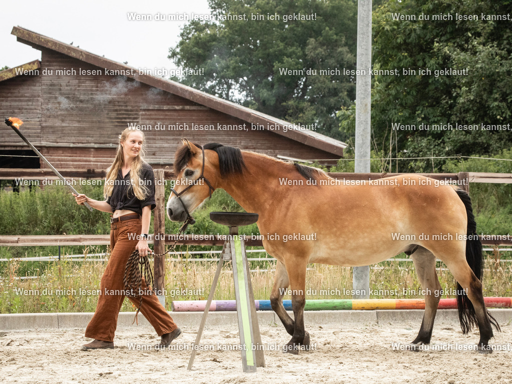 598A7940 | photographylinaismer - Realisiert mit Pictrs.com