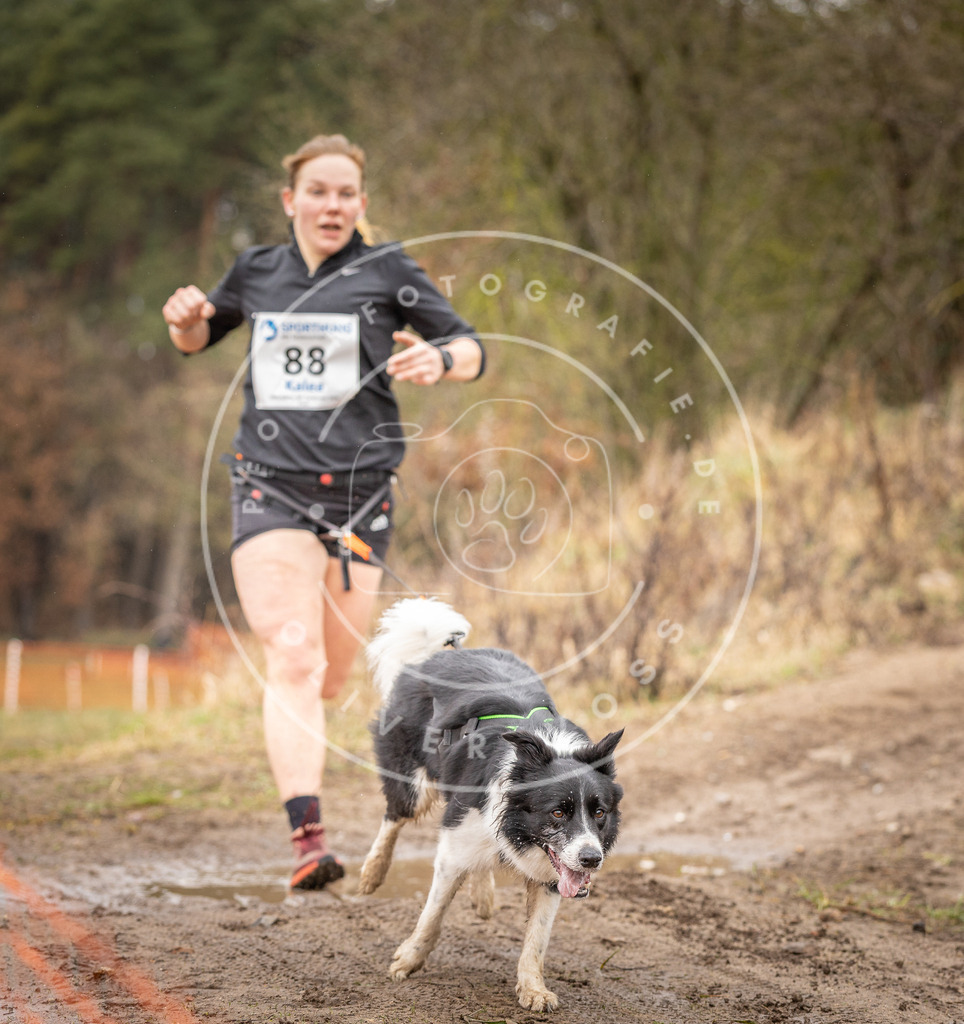 DV3A0393 | Hundefotografie, Tierfotograf, Pfotenfotografie, Fotoshooting Hund, Hunde Portrait, Hundesport, Hundeportraits, Heideshooting, Hunde, Sportfotograf, Hundefotograf, Turnierhundsport, THS,  - Realisiert mit Pictrs.com