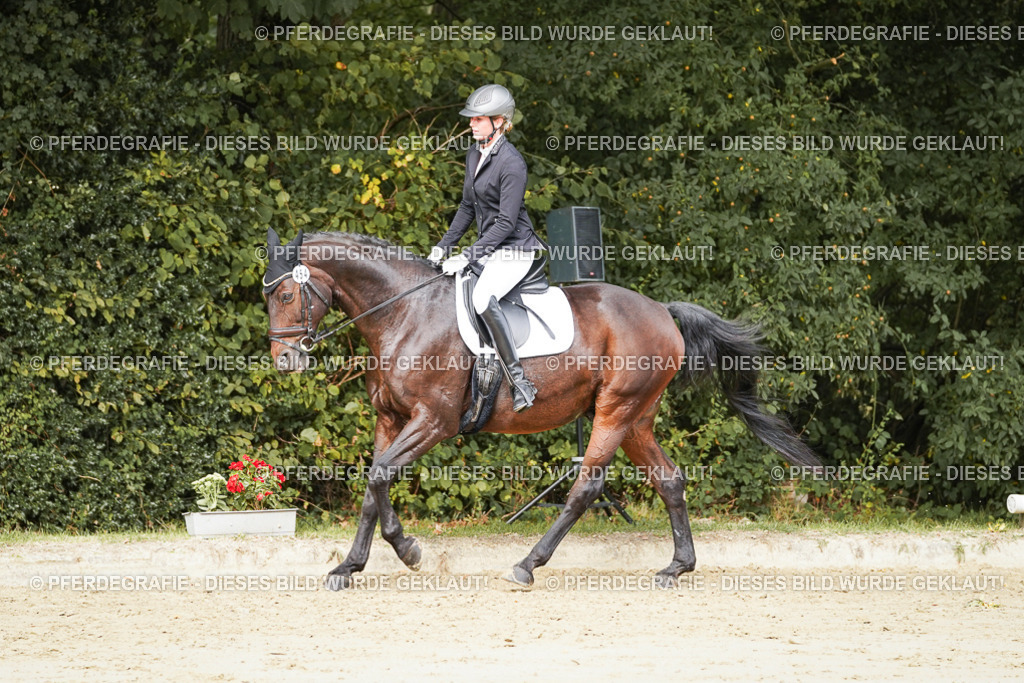 DSC01702 | Pferdegrafie