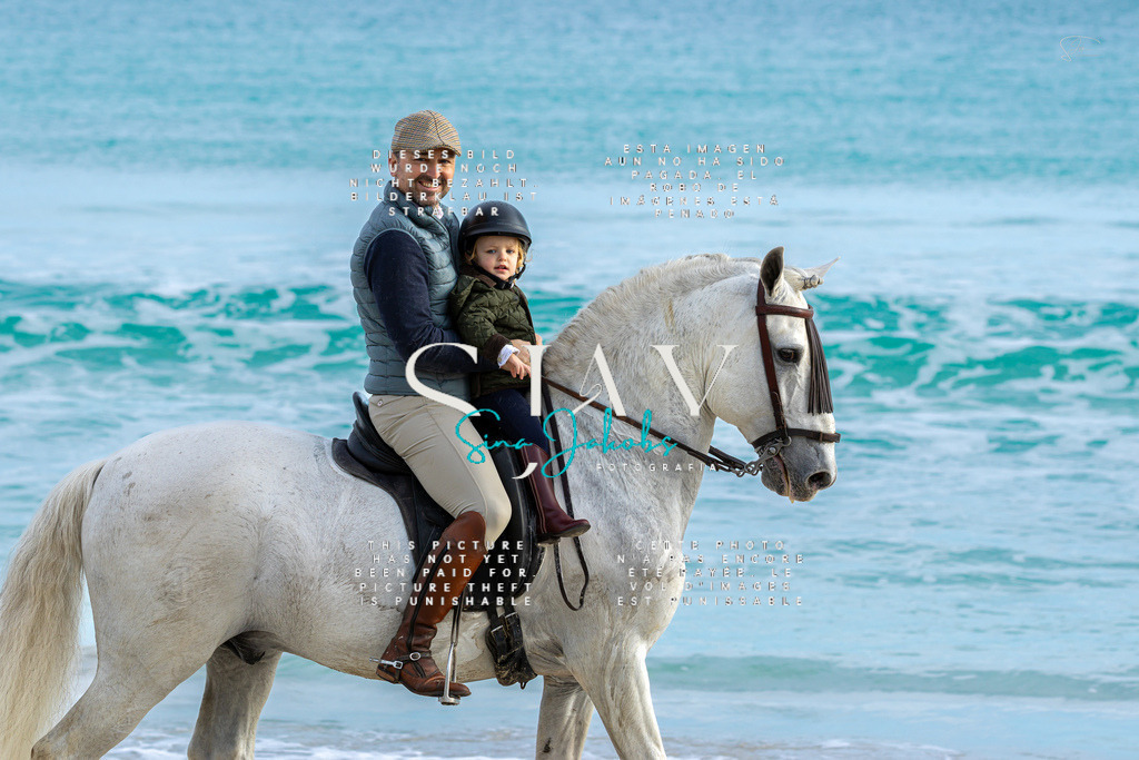 IMG_2516 | s-jay-photography - Realisiert mit Pictrs.com