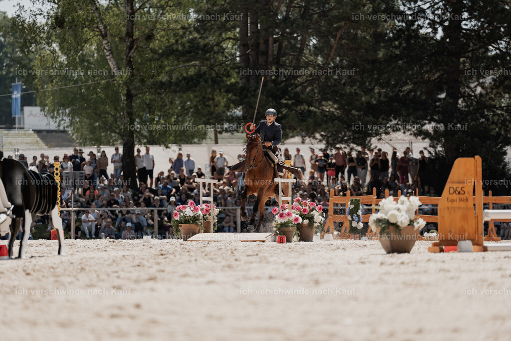 WE_SP_Stoib_313_PI2025_1776 | Pferd International München 2025