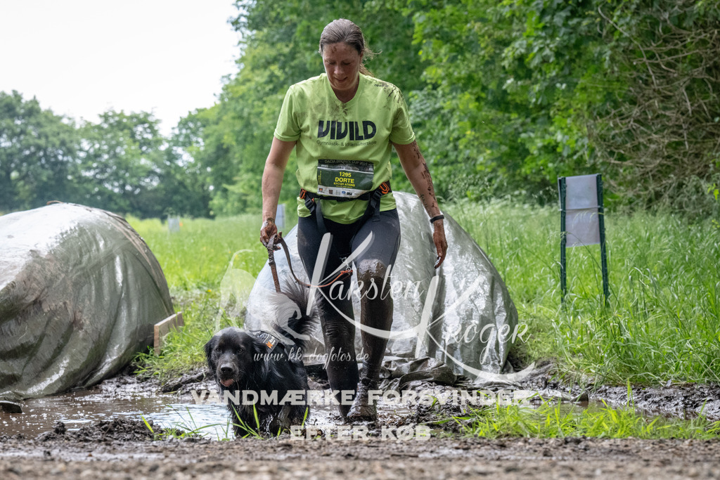 1110_ZZ91778 | kk-dogfotos