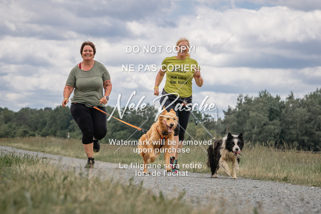 nelerasche_BuHu2026_SaCC1100-1200_254 | nelerasche