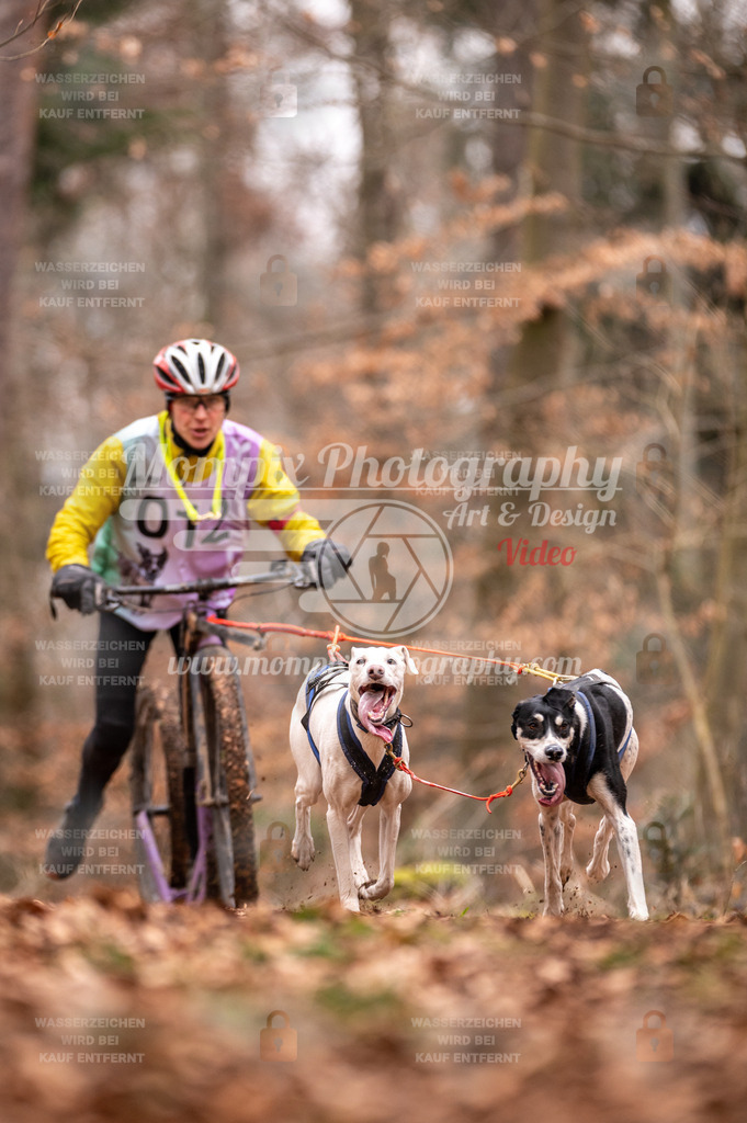 AKM_ST_2023_SAM_DS2-6 | PayLife