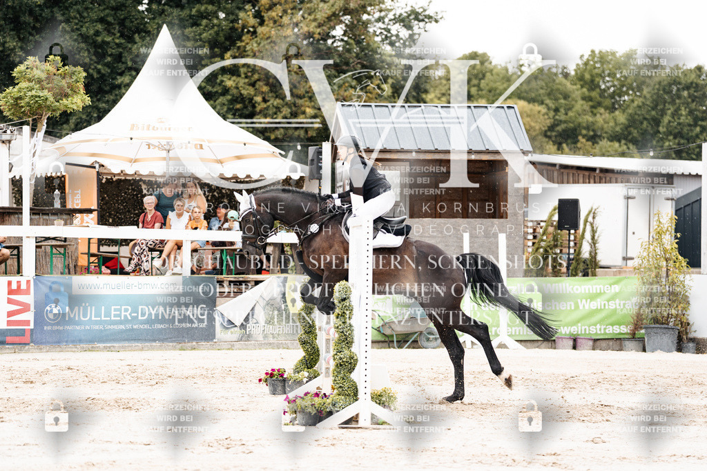 CK908638 | Turnierfotografie Pferdefotografie Trier Rheinland-Pfalz Pferdesport Reitsport Tierfotografie Sportfotografie Pferdevideo Pferdevideografie Equestrianvideography equestrianphotography  - Realisiert mit Pictrs.com