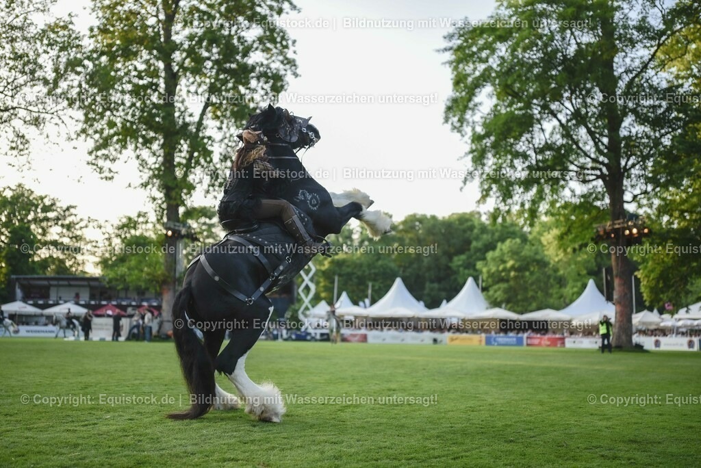 20230526_Pferdenacht_0304 | equistock
