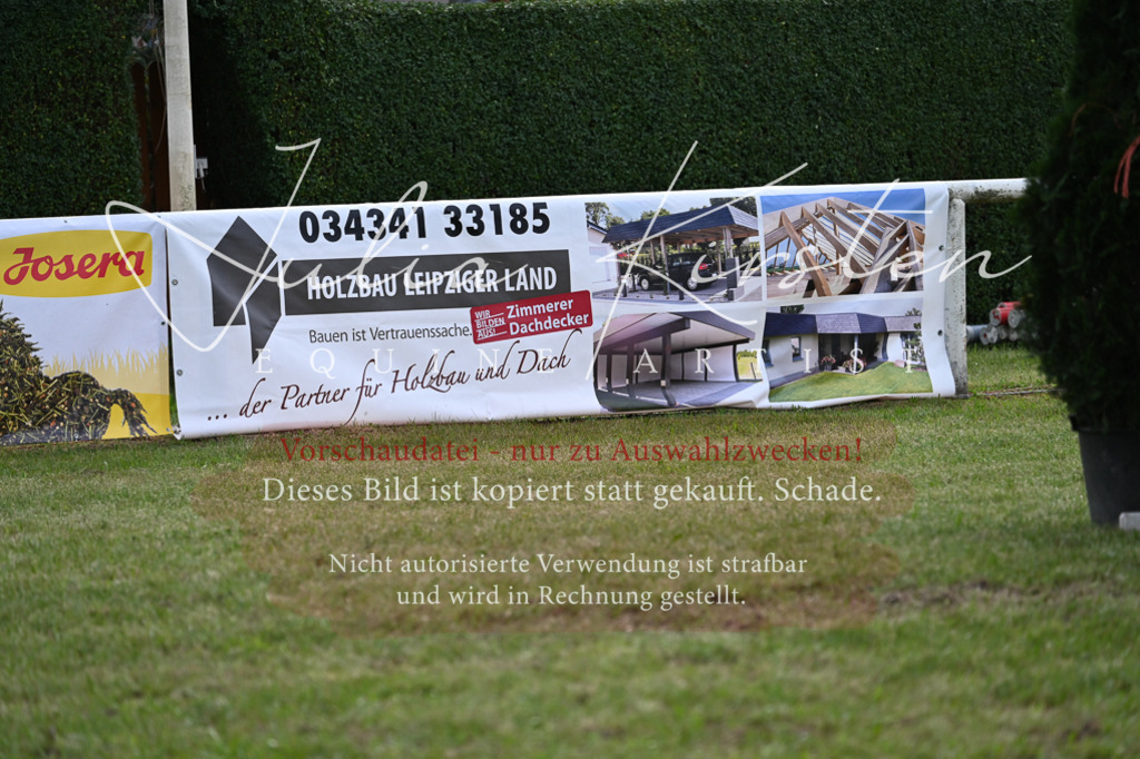 DSC_9114 | Pferde- und Turnierfotografie in Westsachsen. Pferdeportraits, Auftragszeichnungen und intuitive Kunst.