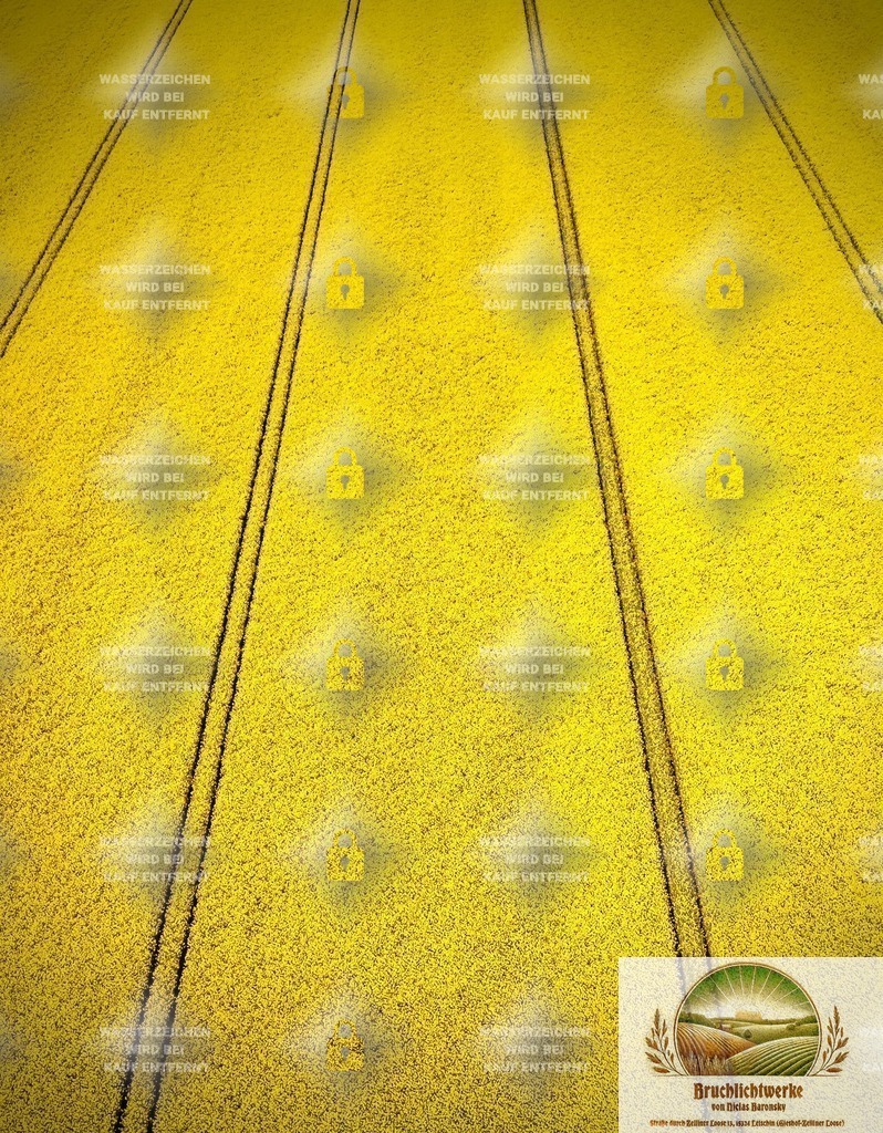 Goldene Loose | Professioneller Fotograf mit 10 Jahren Erfahrung. Landschafts- und Hochzeitsfotografie im Oderbruch. Workshops und beeindruckende Bilder für besondere Momente.