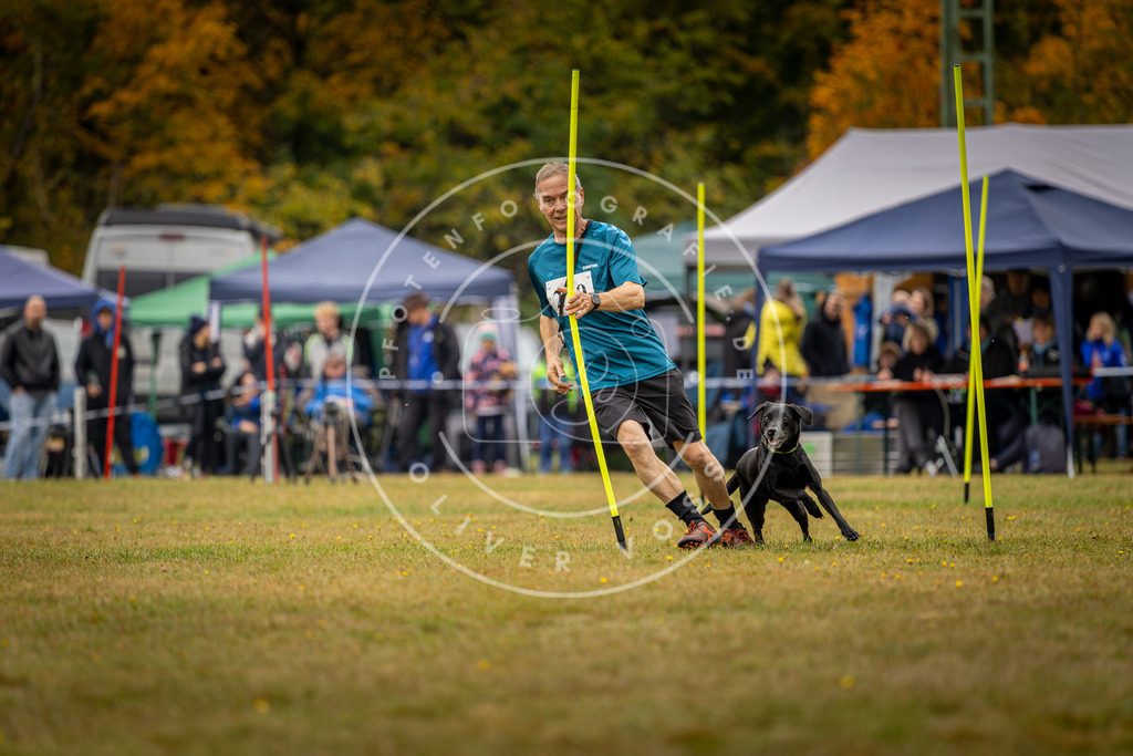 Pfotenfotografie_DV3A2356 | Hundefotografie, Tierfotograf, Pfotenfotografie, Fotoshooting Hund, Hunde Portrait, Hundesport, Hundeportraits, Heideshooting, Hunde, Sportfotograf, Hundefotograf, Turnierhundsport, THS,  - Realisiert mit Pictrs.com
