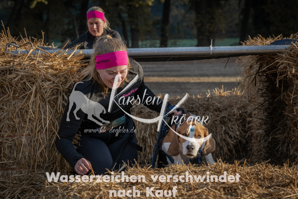 0944_ZZ94283 | kk-dogfotos