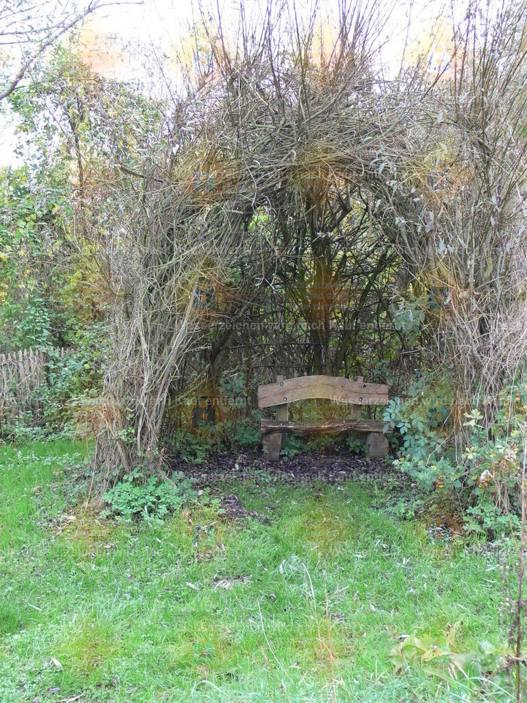 P1080448 | Fotoseite Wolkenblende - Das Hobby fotografieren begleitet mich schon  viele  Jahre. Auf den nächsten Seiten zeige ich ein paar Schnappschüsse der letzten Jahre und es kommen immer neue hinzu. Schau einfach mal rein. - Realisiert mit Pictrs.com