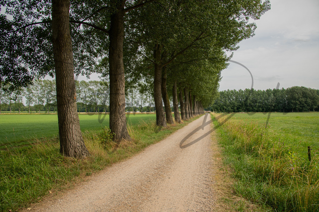 landschaft-1-15 | fotografie-derks - Realisiert mit Pictrs.com
