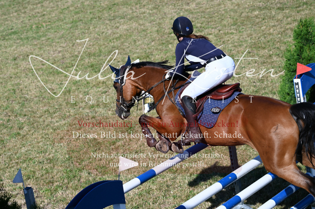 DSC_2435 | Pferde- und Turnierfotografie in Westsachsen. Pferdeportraits, Auftragszeichnungen und intuitive Kunst.