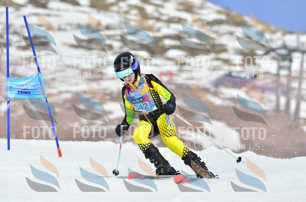 _ELE2572 | holidayphoto