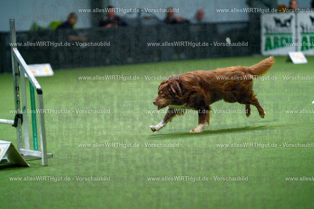 7R500874 | Professionelle Tierfotografie in Mönchengladbach von Daniel Wirth (allesWIRTHgut). Liebevolle & natürliche Bilder von Hunden & Katzen für unvergessliche Erinnerungen.