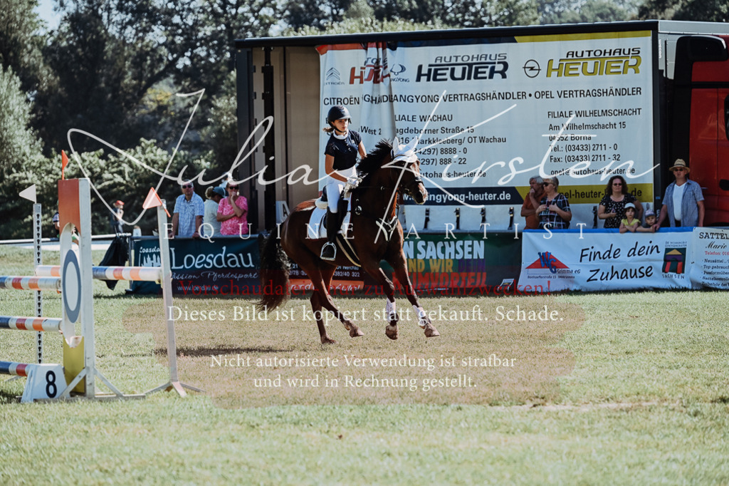 DSC_5851 | Pferde- und Turnierfotografie in Westsachsen. Pferdeportraits, Auftragszeichnungen und intuitive Kunst.
