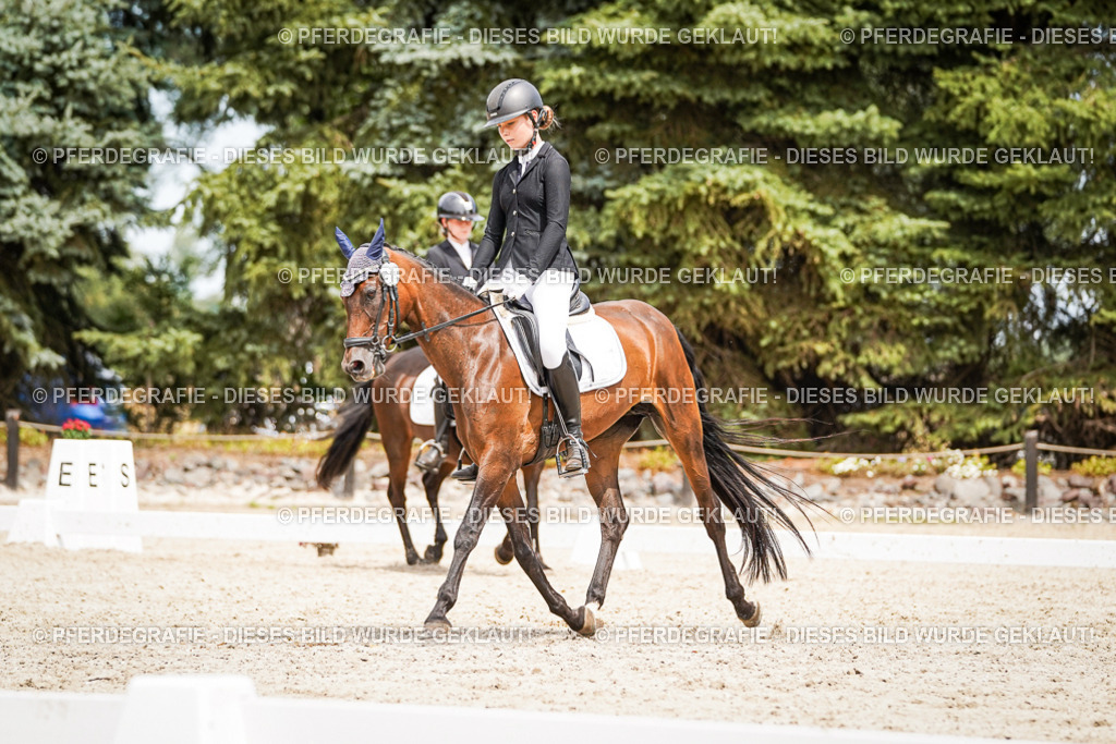 DSC04083 | Pferdegrafie