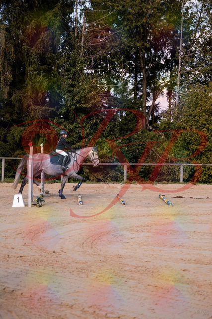 2026_10_03_Siefer-Hof_145033_Z81_28484925 | Professionelle Reitsport-, Turnier- und Eventfotografie von Robert Broda. Galerien mit ausgewählten und bearbeiteten Bildern direkt online ansehen und bestellen.