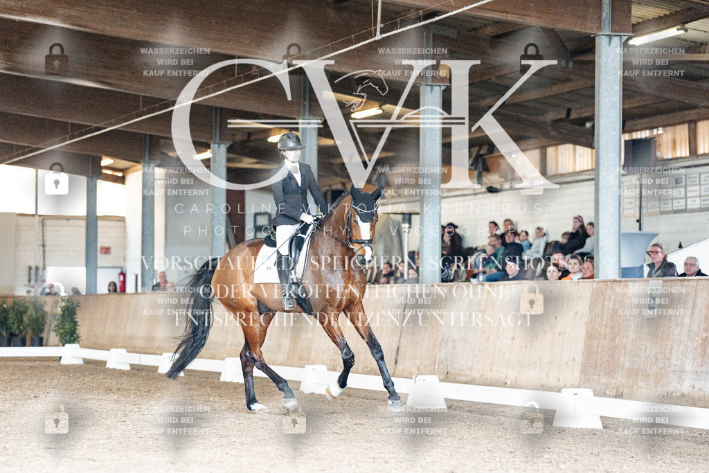 CK901793 | Turnierfotografie Pferdefotografie Trier Rheinland-Pfalz Pferdesport Reitsport Tierfotografie Sportfotografie Pferdevideo Pferdevideografie Equestrianvideography equestrianphotography  - Realisiert mit Pictrs.com