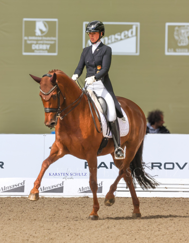 1B3A3508 | Reitsport Reiten
