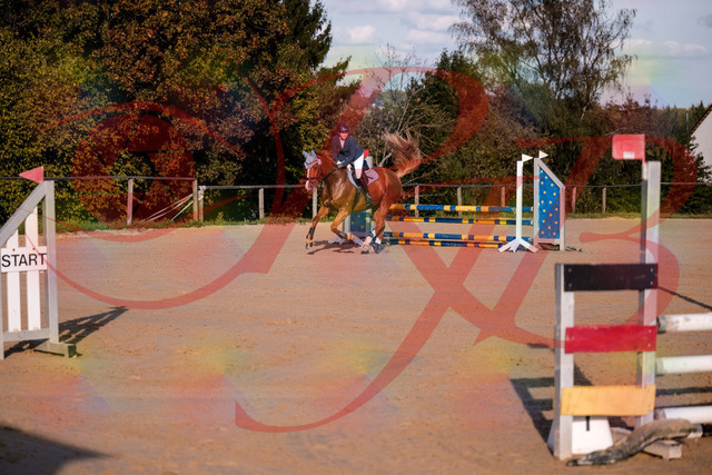 2026_10_03_Siefer-Hof_171224_Z81_09618100 | Professionelle Reitsport-, Turnier- und Eventfotografie von Robert Broda. Galerien mit ausgewählten und bearbeiteten Bildern direkt online ansehen und bestellen.