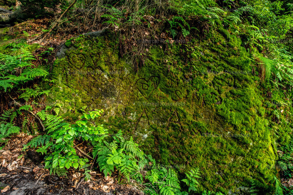 _DSC7398 | foto-rosenfeld