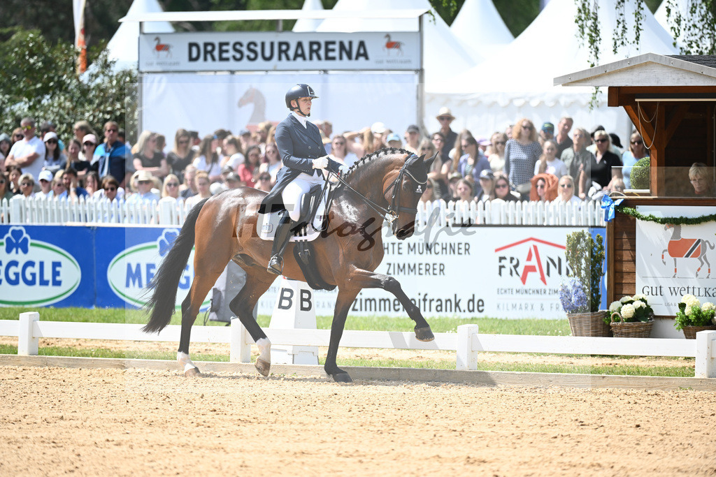 Balkenhol_High Five FRH_12244191 | hf-fotografie - Realisiert mit Pictrs.com