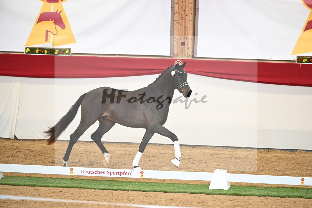 Kat.-Nr. 66 v. Fürstenball_Höchsmann_2250477 | hf-fotografie - Realisiert mit Pictrs.com