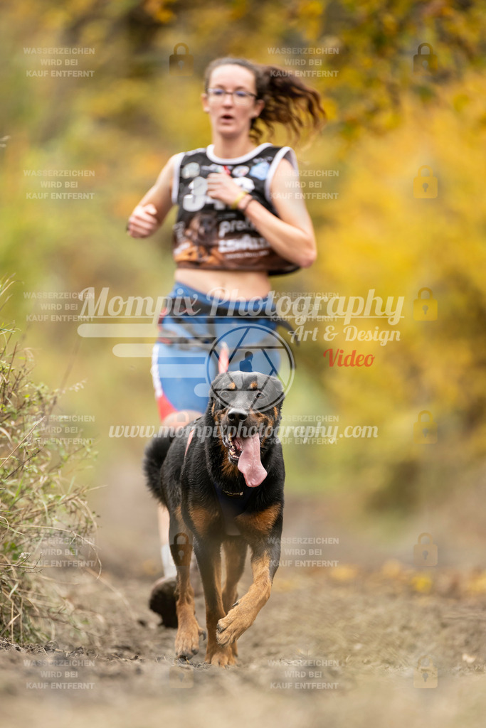 MompixPhotography_ICF_WC_2024_SA_Run_-236 | PayLife