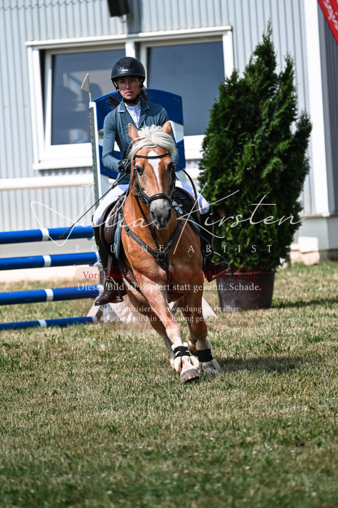 DSC_8788 | Pferde- und Turnierfotografie in Westsachsen. Pferdeportraits, Auftragszeichnungen und intuitive Kunst.