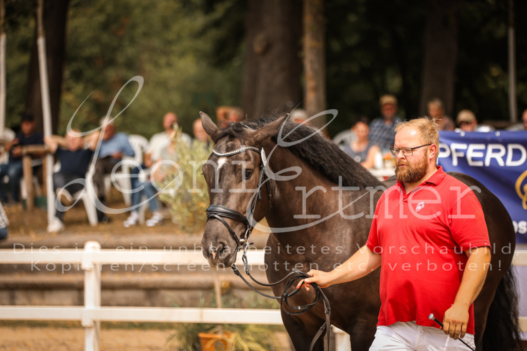 4.Sa00048 | Leoni Ertmer Photography - Realisiert mit Pictrs.com