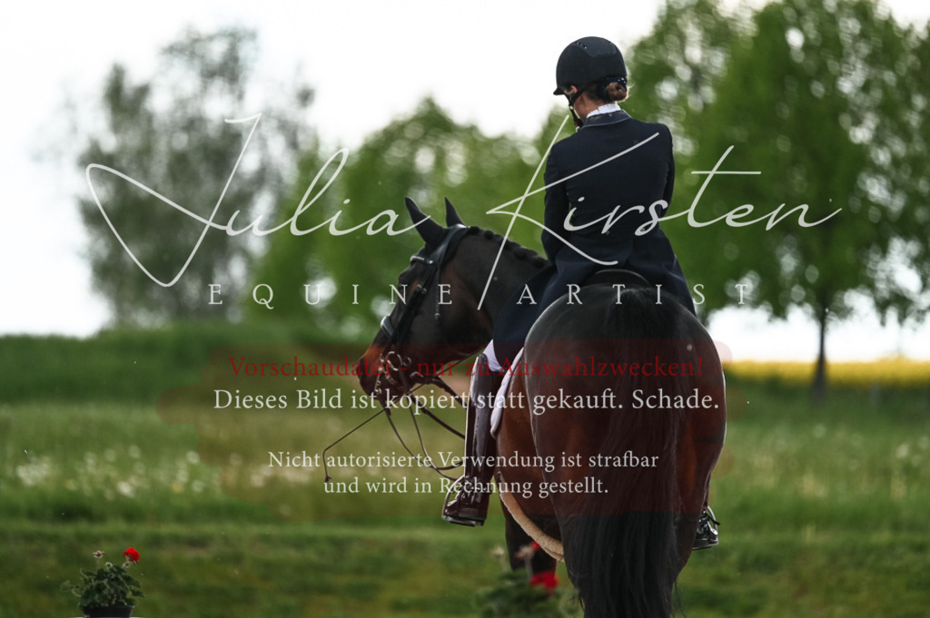 20230514_JK-Röhrsdorf-21-361 | Pferde- und Turnierfotografie in Westsachsen. Pferdeportraits, Auftragszeichnungen und intuitive Kunst.