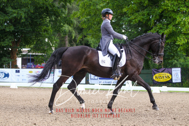 DKP41459 | Turniersportfotografie; Pferdefotografie; Dressurfotografie