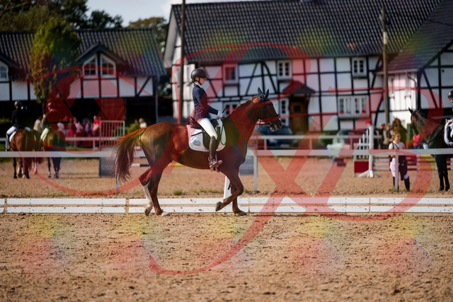 2026_10_03_Siefer-Hof_132901_Z63_90821159 | Professionelle Reitsport-, Turnier- und Eventfotografie von Robert Broda. Galerien mit ausgewählten und bearbeiteten Bildern direkt online ansehen und bestellen.
