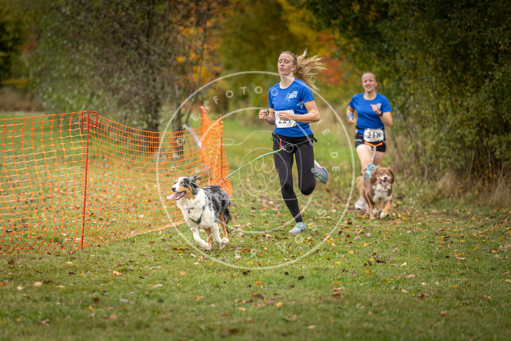 Pfotenfotografie_DV3A4674 | Hundefotografie, Tierfotograf, Pfotenfotografie, Fotoshooting Hund, Hunde Portrait, Hundesport, Hundeportraits, Heideshooting, Hunde, Sportfotograf, Hundefotograf, Turnierhundsport, THS,  - Realisiert mit Pictrs.com