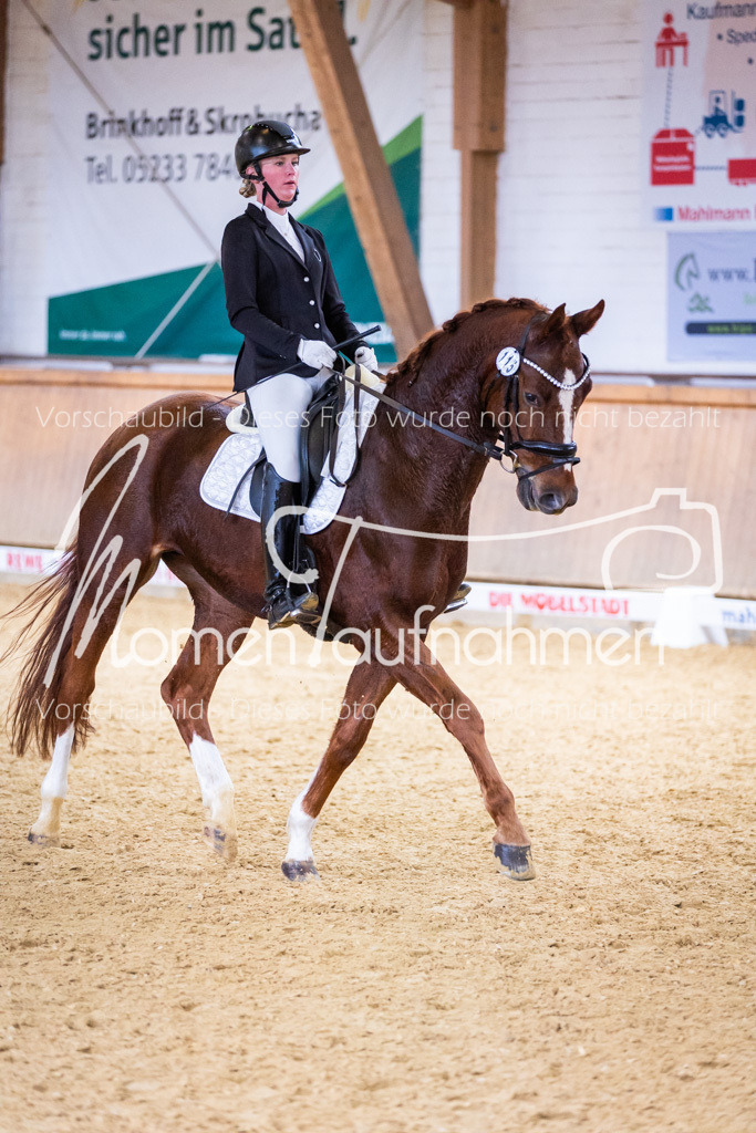 Sth-A-Dre-2St-154 | MomenTaufnahmen Pferdesportfotos