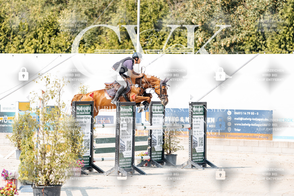 CK901987 | Turnierfotografie Pferdefotografie Trier Rheinland-Pfalz Pferdesport Reitsport Tierfotografie Sportfotografie Pferdevideo Pferdevideografie Equestrianvideography equestrianphotography  - Realisiert mit Pictrs.com