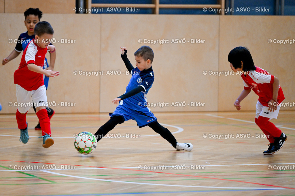 ASVÖ_ Fussballturnier SV Gallneukirchen_ 08.02.2025-30 | 08.02.2025, Gallneukirchen, AUT, ASVÖ, Fussball Nachwuchs Hallenturnier 2025, SV Gallneukirchen im Bild Teilnehmer U 7©Harald Dostal / fodo.media - Realisiert mit Pictrs.com