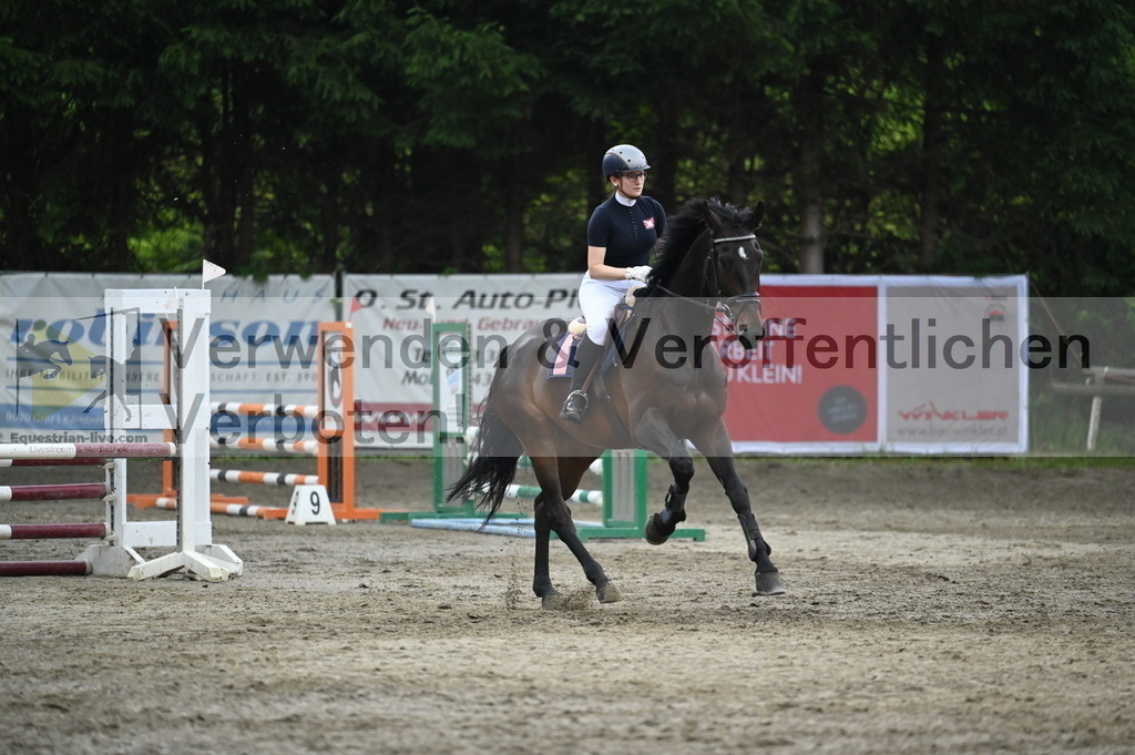 DSC_4748 | equestrian-live-com