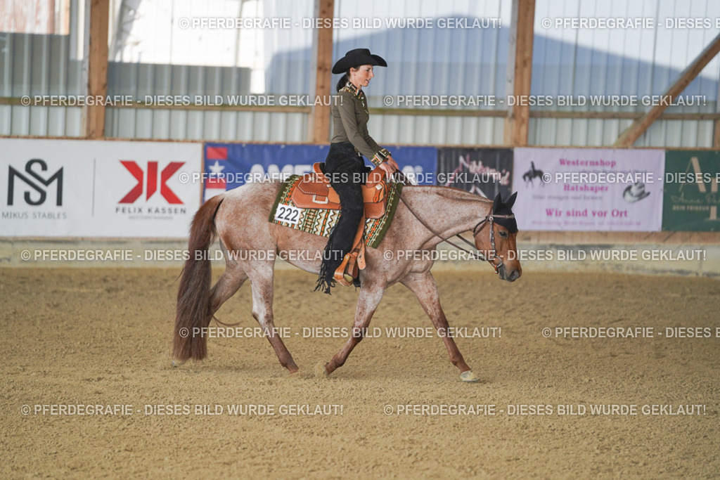 DSC09137 | Pferdegrafie