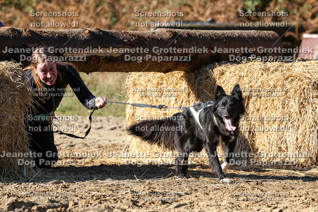 Dog Paparazzi - Strongdog 10-25-2155 | Dog Paparazzi Jeanette Grottendiek Fotografie & Videografie - Realisiert mit Pictrs.com