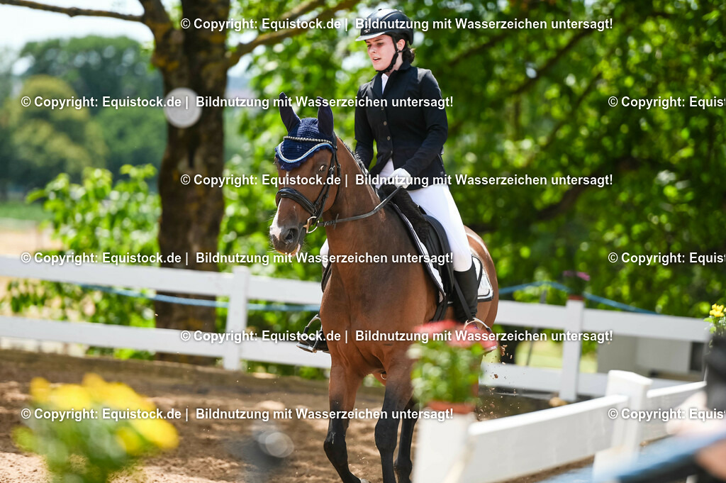 20230715_09_Dressur-WB_0483 | equistock