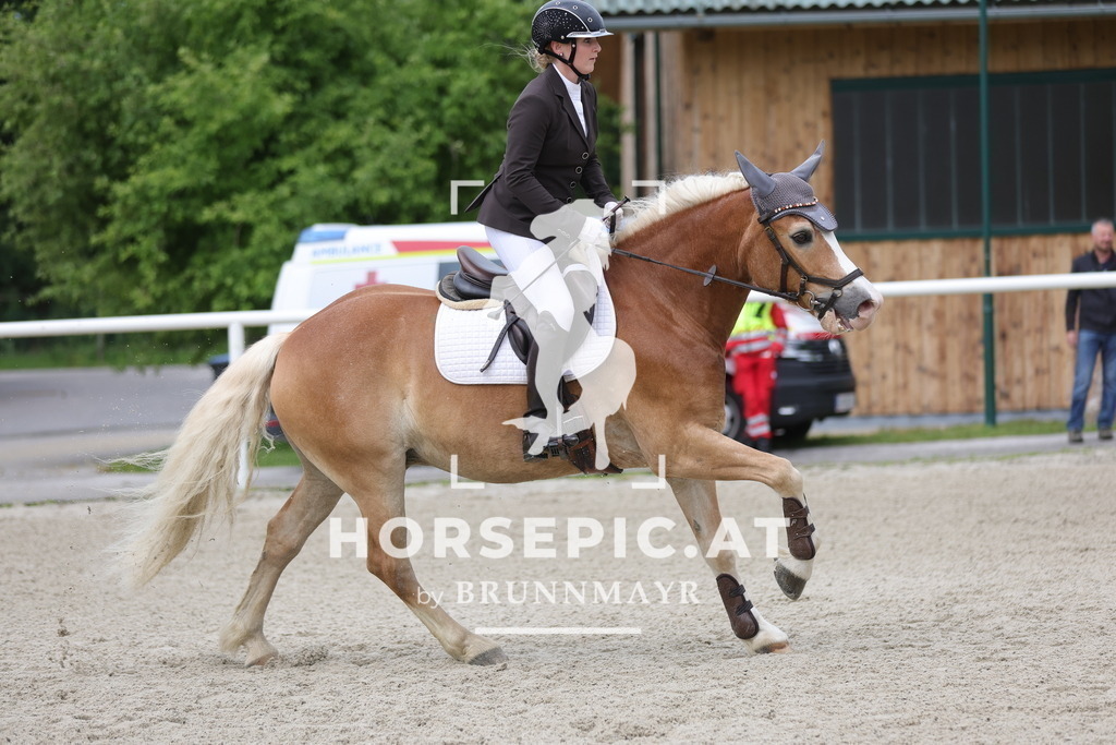 0P6A8988 | Willkommen bei Brunnmayr - Design & Fotografie – Ihrem Spezialisten für Reitturniere und Pferdeveranstaltungen in Oberösterreich, Salzburg und Bayern! Seit über 17 Jahren sind wir leidenschaftlich dabei.