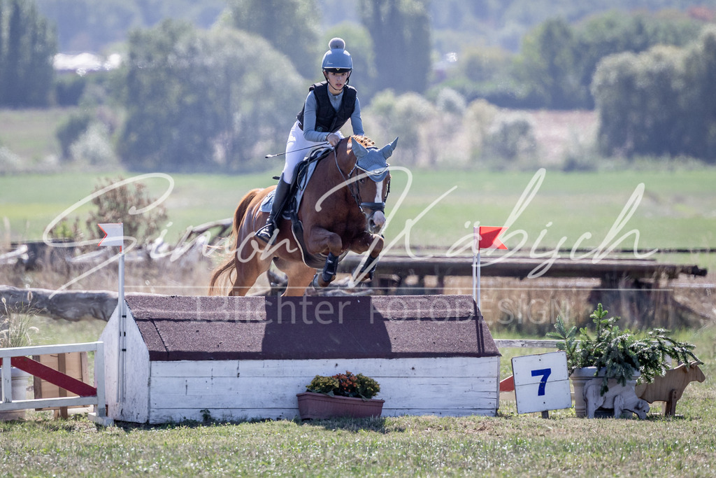 20260906-_3LI2973 | Tierfotografie Pferde, Hunde, Katzen, Haustiere.
Turnierfotografie Reitturniere, Reiten, Springreiten, Dressur in Hanau, dem Main-Kinzig-Kreis und dem Rhein-Main- Gebiet um Frankfurt