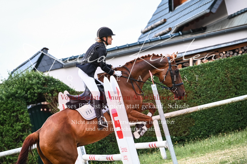 DSC_8459 | Pferde- und Turnierfotografie in Westsachsen. Pferdeportraits, Auftragszeichnungen und intuitive Kunst.
