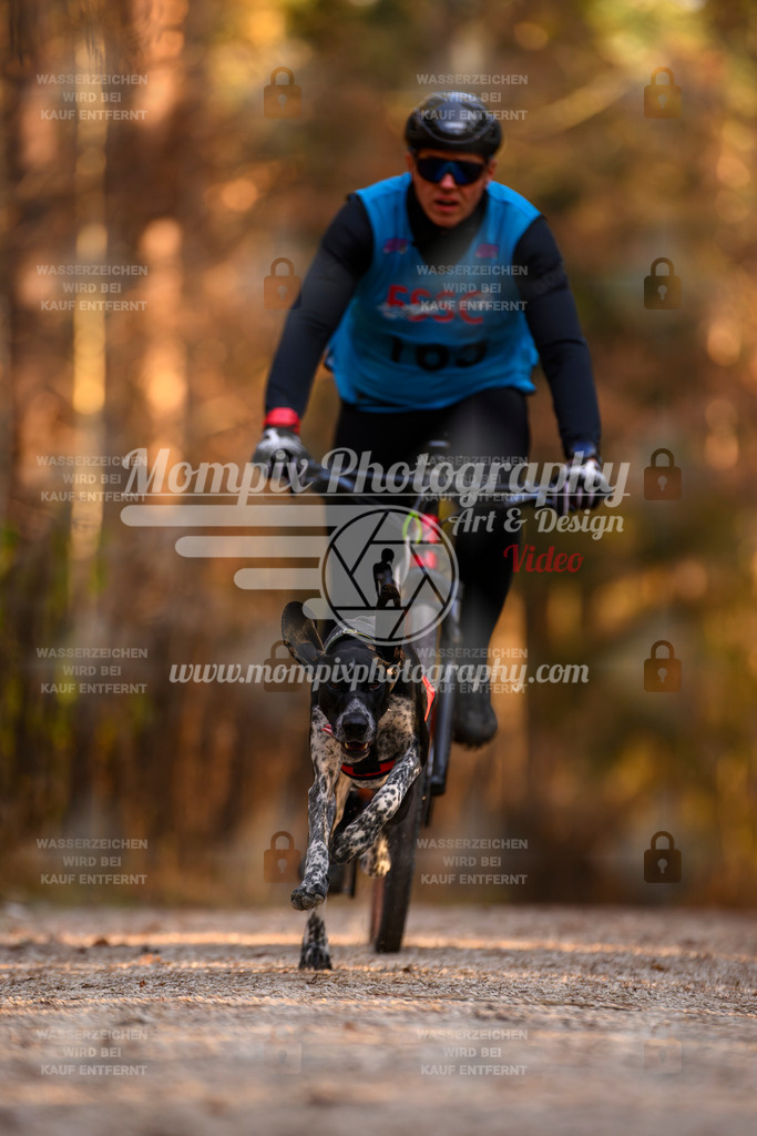 MompixPhotography_DM_AKDM_SO_2025_Bike-75 | PayLife