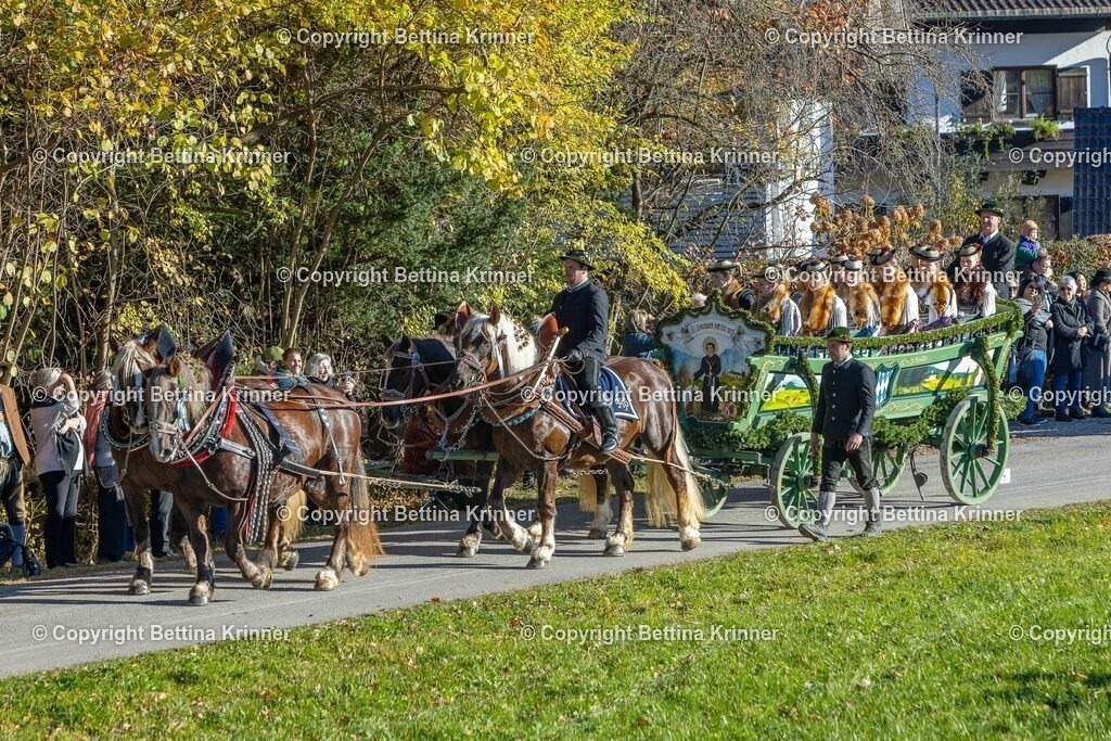 LBT25-107 | foto-bettina-krinner - Realisiert mit Pictrs.com