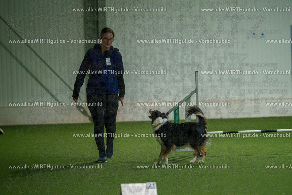 7R508199 | Professionelle Tierfotografie in Mönchengladbach von Daniel Wirth (allesWIRTHgut). Liebevolle & natürliche Bilder von Hunden & Katzen für unvergessliche Erinnerungen.